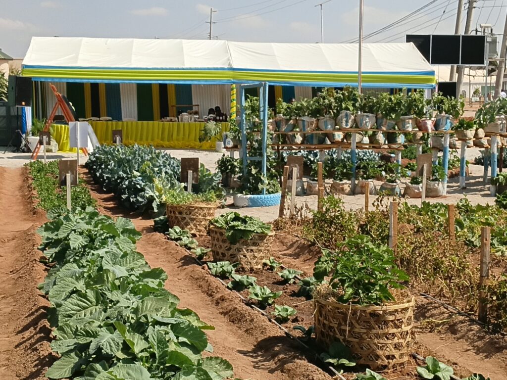 Habari Picha 12984
